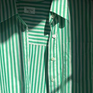 Aritzia Wilfred Free relaxed shirt XS green striped 100% organic cotton